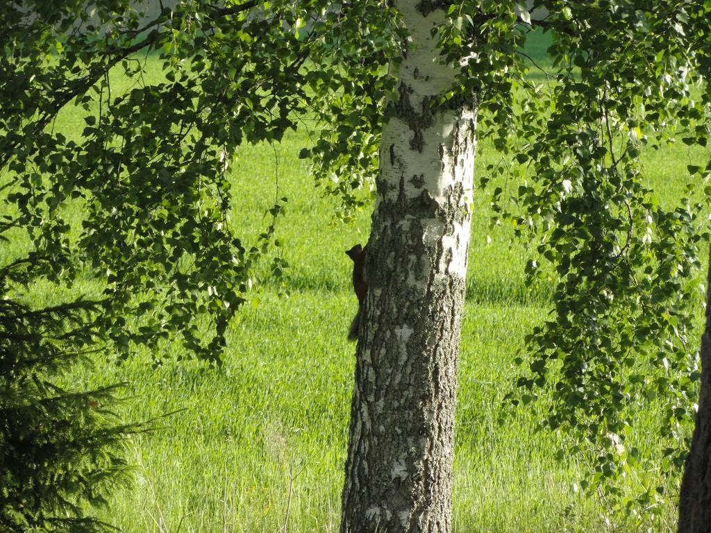 Kalliomajat Ylivalli Экстерьер фото